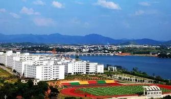 亚洲aaaa,领略多元文化魅力